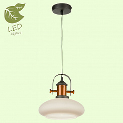 Подвесной светильник LOFT GRLSP-9845