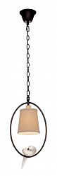 Подвесной светильник LOFT IT 1029A-1